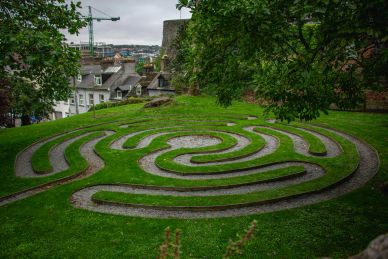 Steven O' Riordan, Psychotherapist, Psychedelic Assisted Therapy and Integration Online