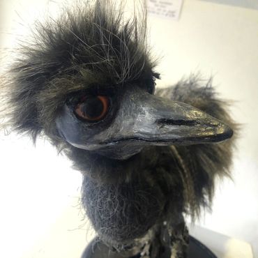 Emu, mixed media assemblage, Margaret Proctor, Rex-Livingston, Katoomba, repurposed materials