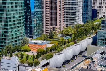 Aerial Real Estate Photography