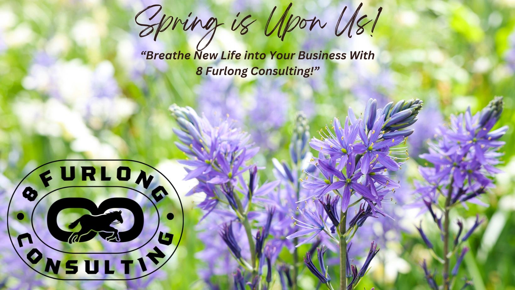 8 Furlong Business Management and Consulting Spring Banner.