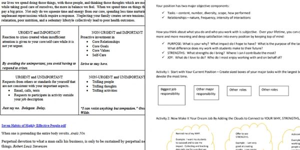 Previews of some professional development worksheet activities developed by capacity plus