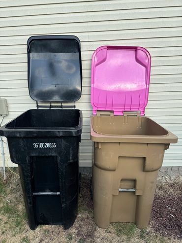 Trash bin cleaning