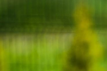 sprinkler. Affordable landscaping service in AZ