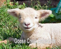 Goose Creek Babydolls