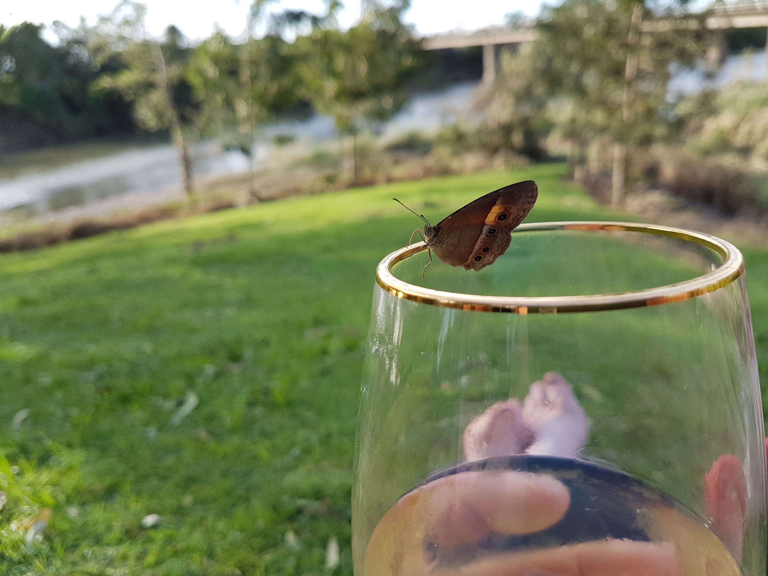 HISTORY St Helens Gardens Tourist Park