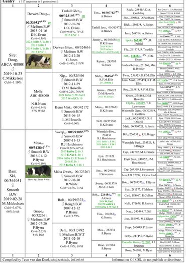 Gentry, Derwin Doug, Tanhill Glen, David Howell’s Nip, P Bryne Moss, R Hutchinson Sweep, A Owen Bob