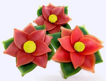 blown glass poinsettias