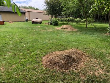 Stumps ground will be cleaned up into original stump footprint