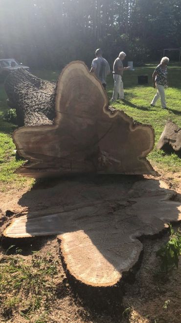 It’s my goal to cut all stumps as close to soil grade as possible if you wish to have it left