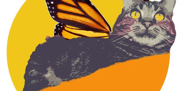 Graphic kitty butterfly.