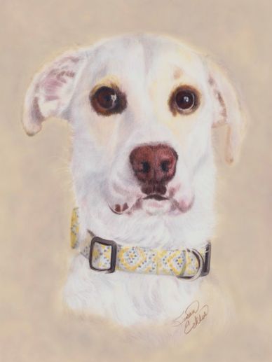 It’s like I could reach out and pet my sweet girl one more time.  Erica Johnson