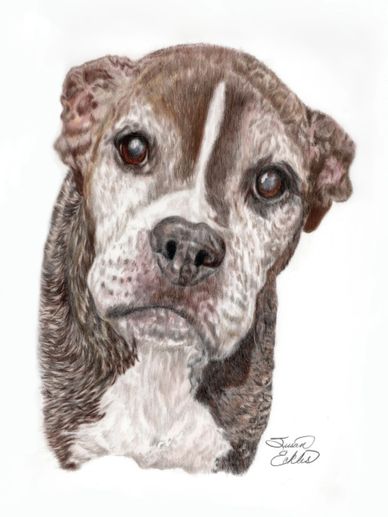 Susan, when I look at your drawing, tears come to my eyes... I love it
Laura Simmons