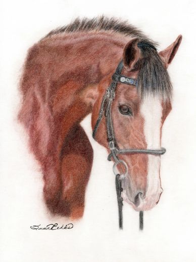 Susan is so talented! She did both my mares and I cried when I received them. She really captured th