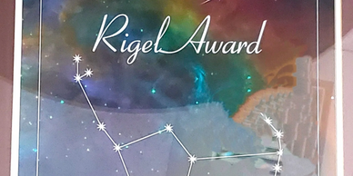 Image of Rigel Award for Small Business of the Year - https://isystechnologies.com ISYS Technologies