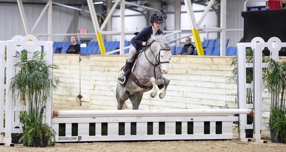 Young equestrian jumping a white horse over a hurdle.