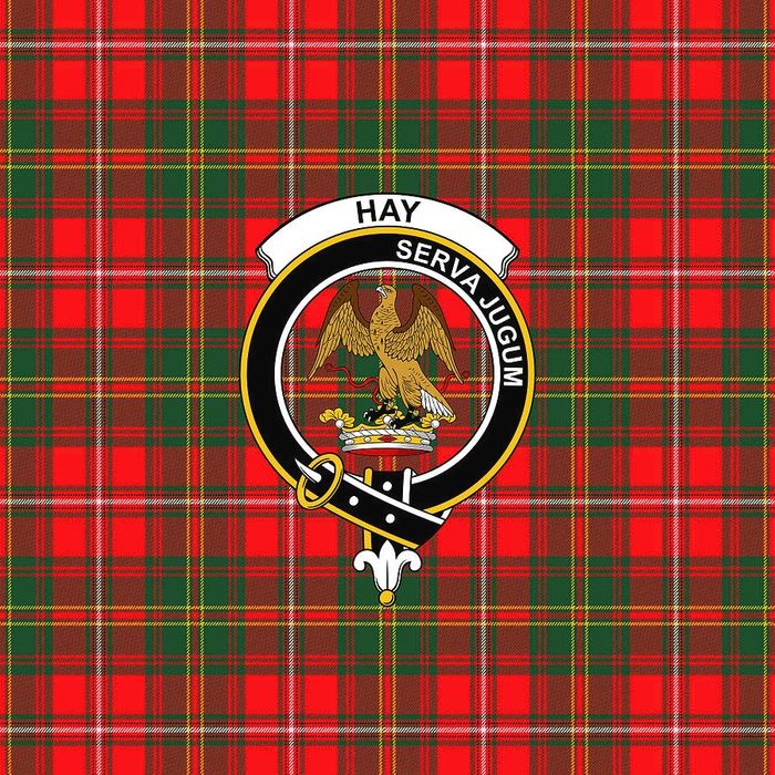 HAY AUCTION SERVICES. CHARLESTON SC. ONLINE AND LIVE AUCTIONS. COMMERCIAL. RESTAURANT. INDUSTRIAL.
