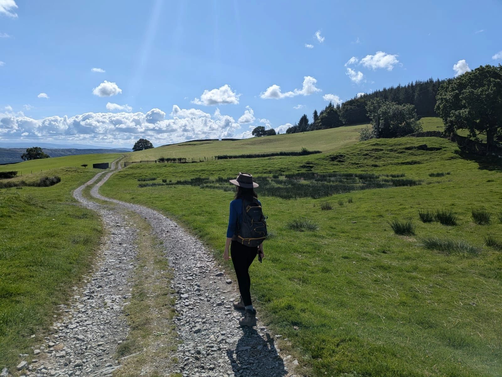 Person hiking on a sunny countryside trail.