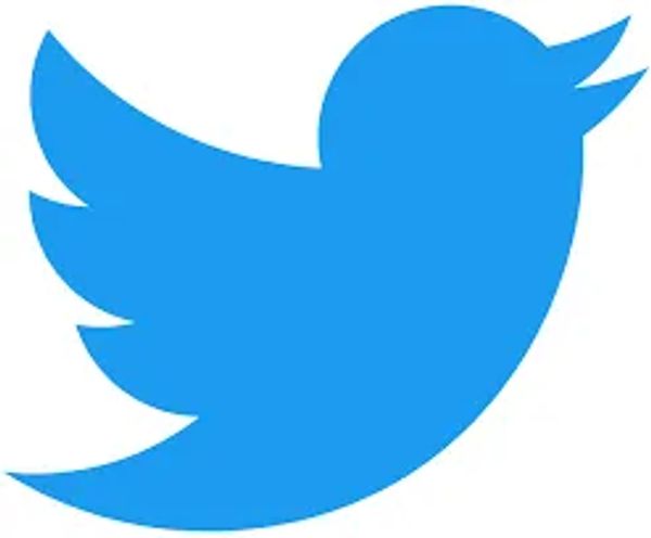 Twitter logo of blue bird 