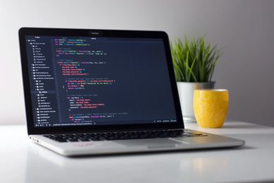 A picture of a laptop computer on a desk with a plant next to it.