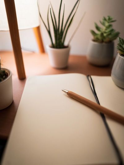 A picture of a blank notebook, open with a pen laying on top of it.