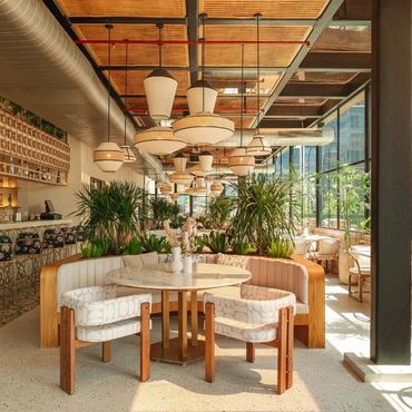Bright, stylish restaurant interior with lush plants and cozy seating.