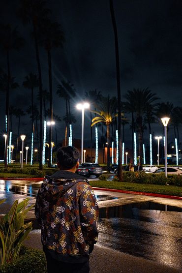 Person looking at illuminated palm trees and streetlights on a wet night.
