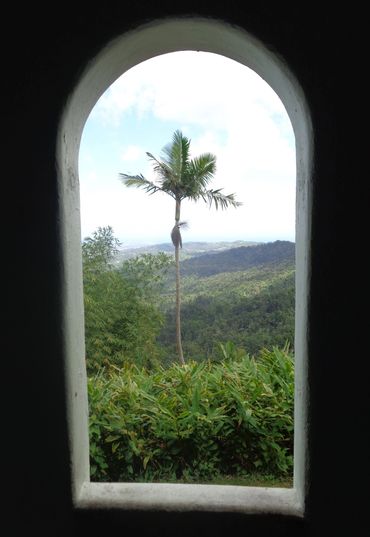 Puerto Rico El Yunque View