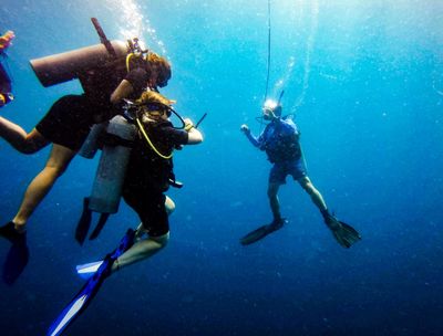PADI Divemasters hold a professional certification and professional liability insurance. 