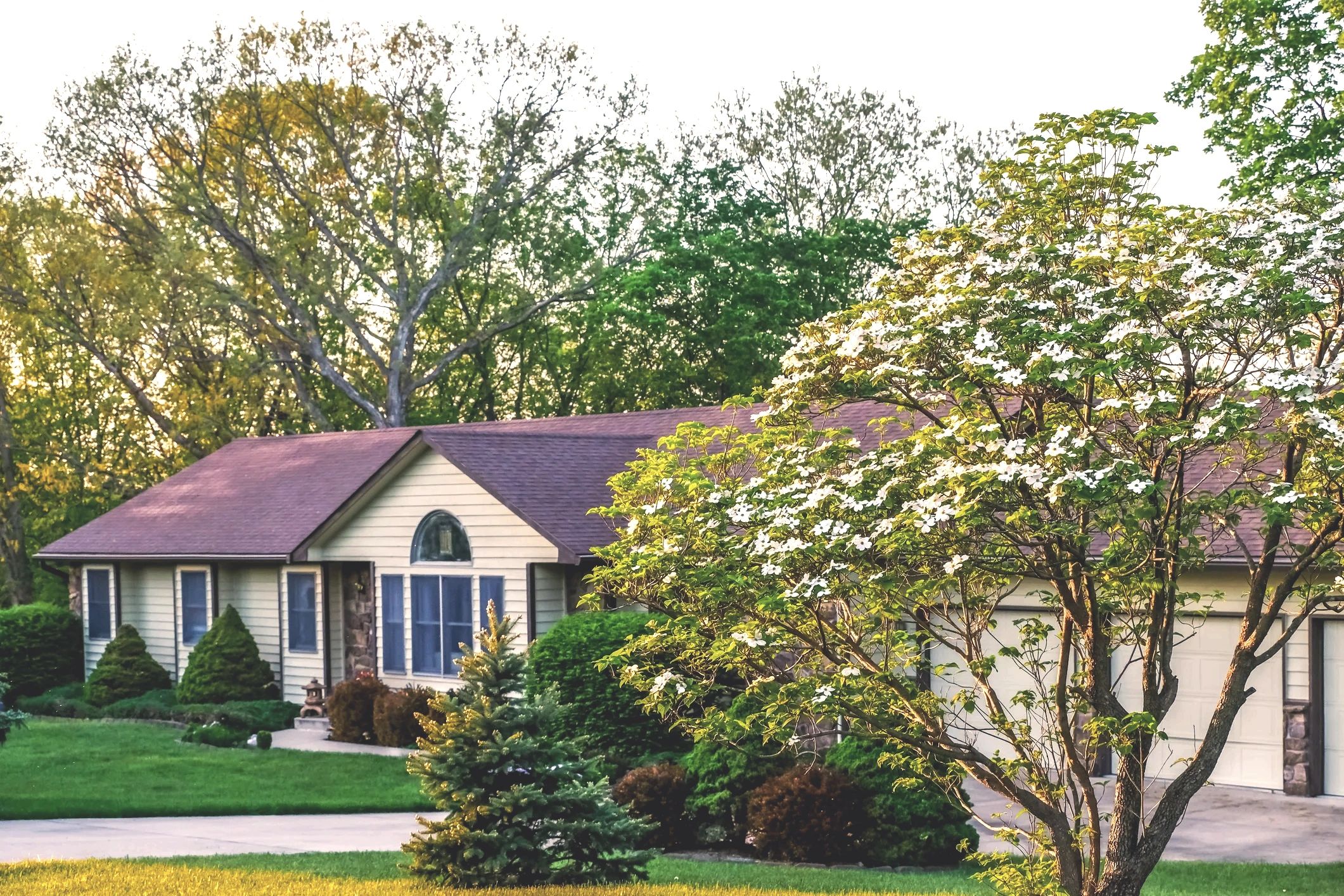 A charming suburban house surrounded by lush greenery and blooming trees.