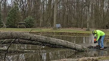 Mr. Rick's Tree Service removing tree from pond in Clarksville, TN.