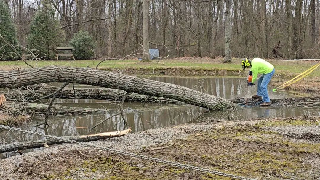 Professional tree removal service in Clarksville, TN by Mr. Rick's Tree Service