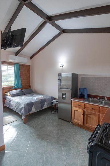 Cozy studio with bed, kitchen, and TV under a vaulted ceiling.