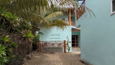 Pebbled driveway leading to a blue house with tropical greenery on the side.
