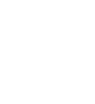 Salish Insurance Group