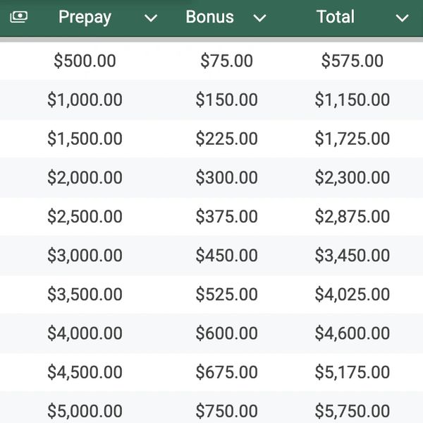 Table showing prepay amounts, bonuses, and total values.