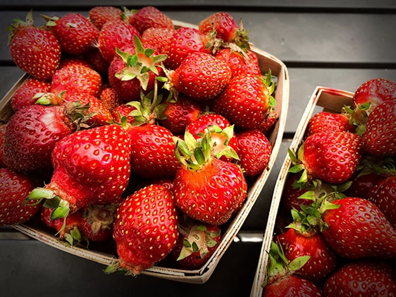 The berries are in full harvest. Take a ride out and grab a couple quarts.