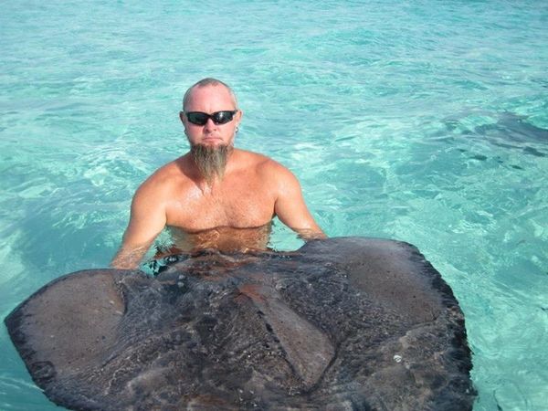 Big Stingray at Stingray City, Cayman Islands