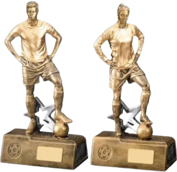 colossus
giant football series
£70.00 410mm RF22039A/35
£95.00 475mm RF22039B/35