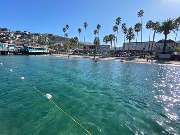 Sunny beach with clear turquoise water and palm trees along the shore.