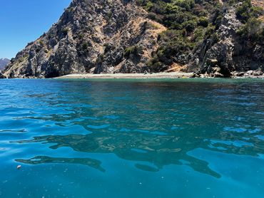 Clear blue water near a rocky, shrub-covered shoreline on a sunny day.