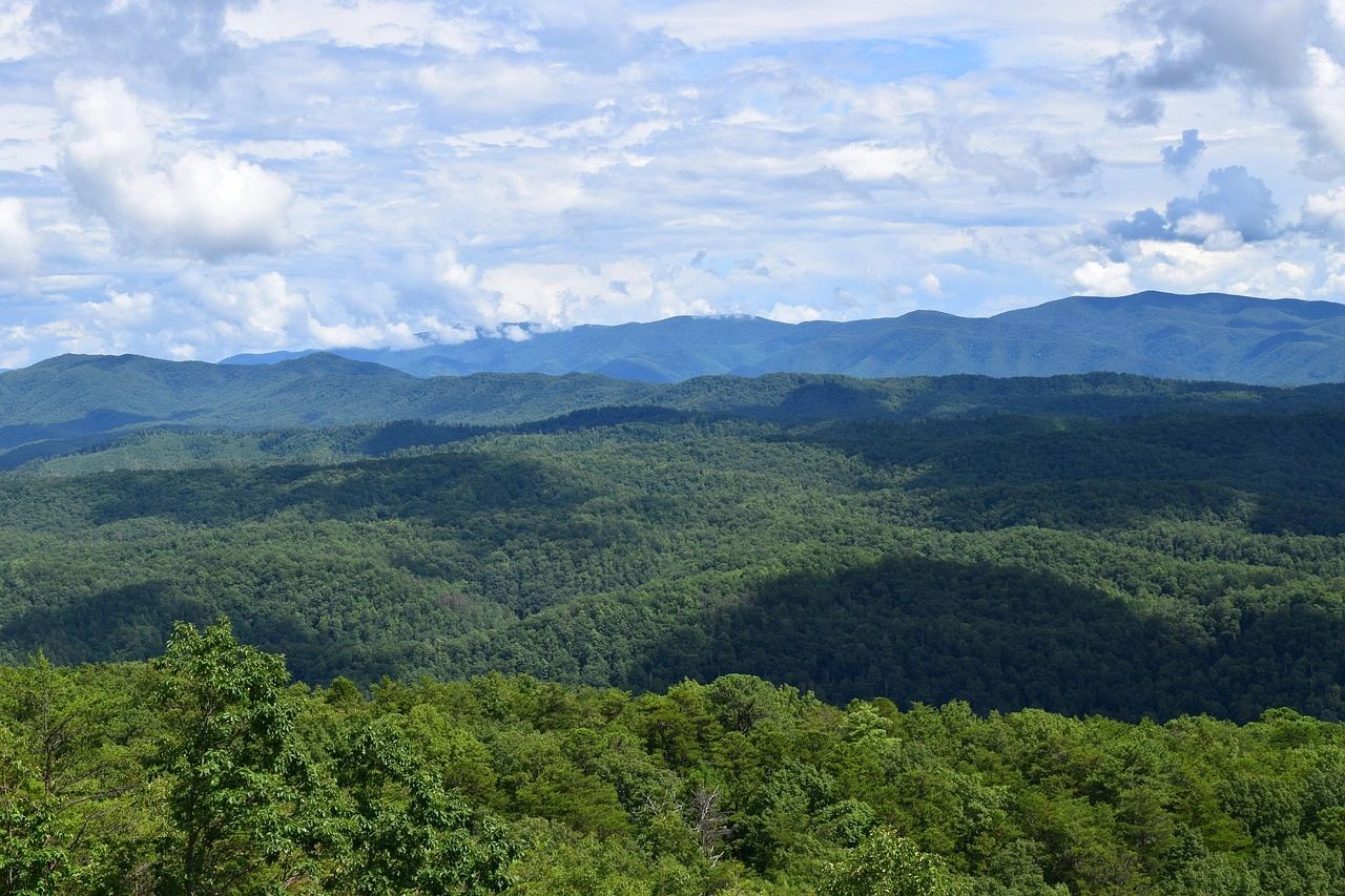 Expansive green forest with rolling blue mountains under a partly cloudy sky.