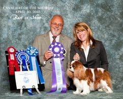 Judge: David Crosley
