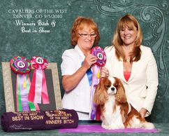 his little girl was not overdone in any way. Lovely well broken markings and an abundance of soft si