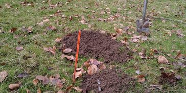 Mole control
Mole catching specialist