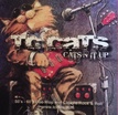 TC Cats