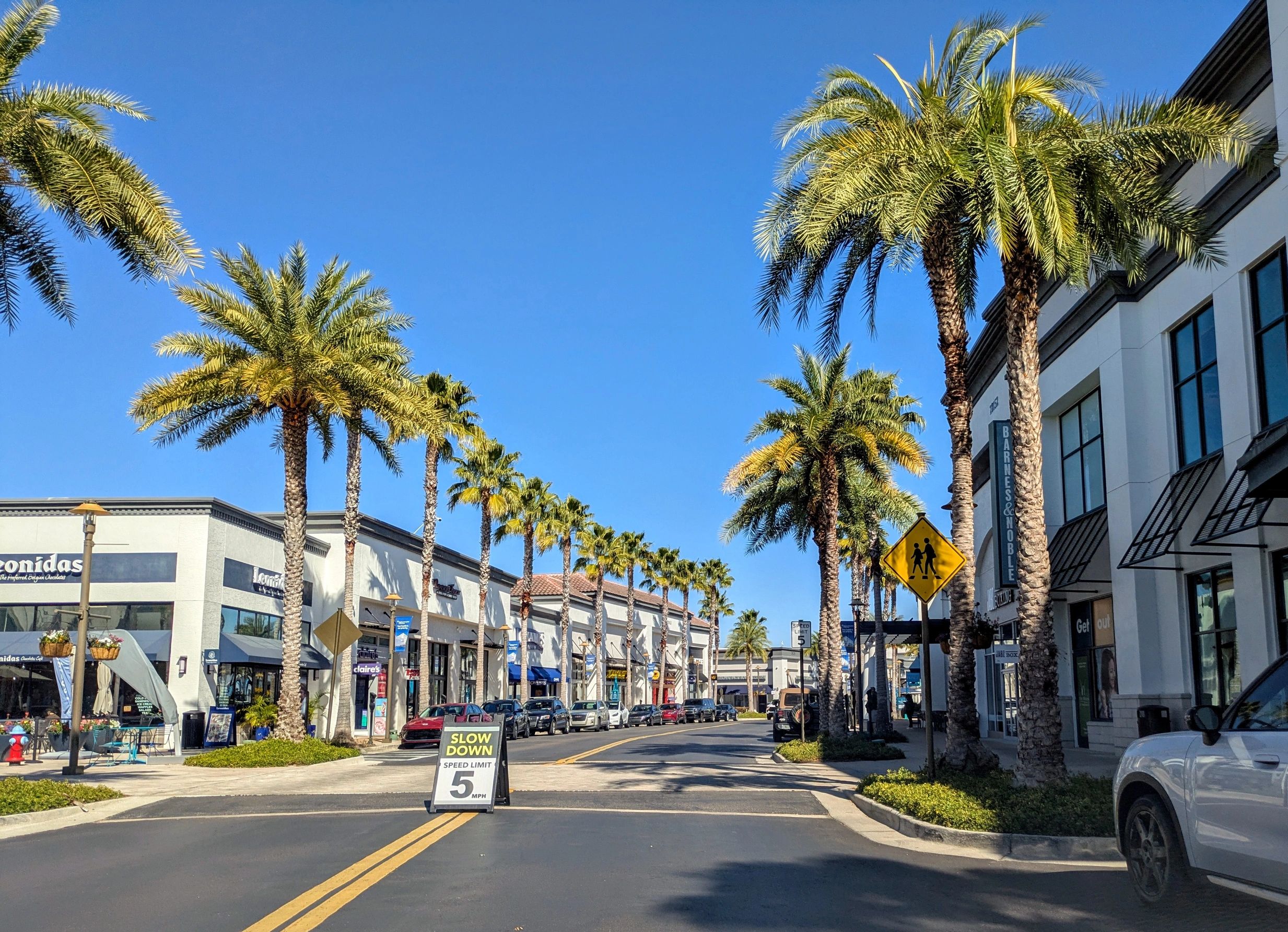 Local REALTOR® serving Wesley Chapel and Avalon Park