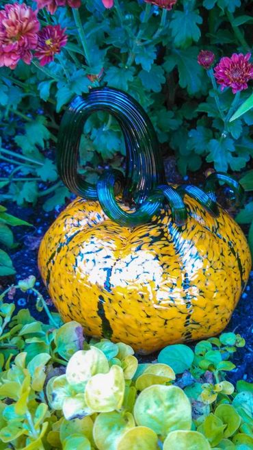 Pumpkins are always fun - no matter the season or the color