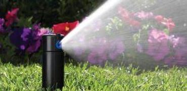 A sprinkler watering grass with flowers in the background.