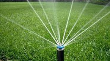 Automatic sprinkler watering green grass on a sunny day.