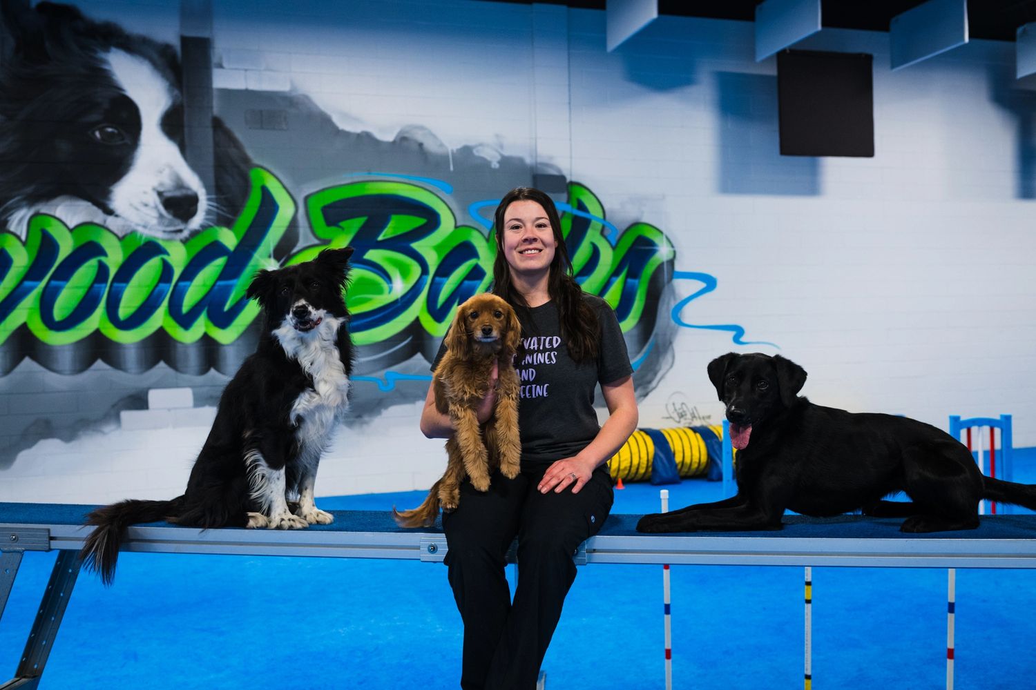 Happy dog trainer sitting in agility facility with her three dogs. Dog training Edmonton